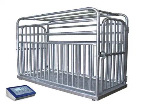 Sản phẩm can dong vat — Công Ty TNHH TM DV Cân Điện Tử Cường Thịnh — MST 0313557374