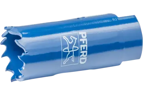 Sản phẩm ls 21 21 mm 13 16 rgb — VPĐD PFERD ASIA PACIFIC PTE, LTD — MST 0313560560