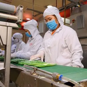 Sản phẩm day chuyen lam kem tu dong o mien nam 300x300 — Công Ty TNHH Thương Mại Dịch Vụ Cơ Điện Lạnh Nguyên Bảo — MST 0313563145
