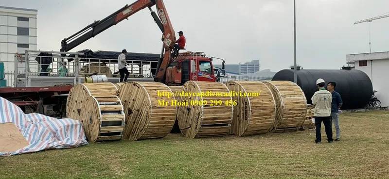 Sản phẩm KHU CHE XUAT TAN THUAN Quan 7 — Công Ty TNHH Đầu Tư Phát Triển Công Nghệ Nikita — MST 0313573665