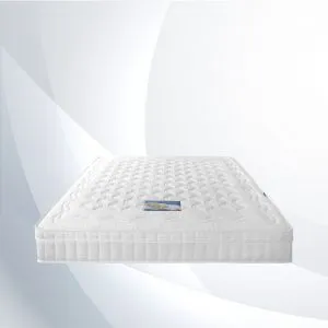 Sản phẩm VICTORYA 01 300x300 — Nệm Vivian - Công Ty TNHH Sản Xuất Thương Mại Nệm Vivian — MST 0313575895
