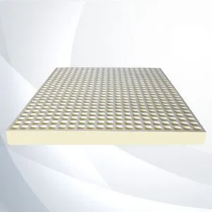 Sản phẩm CSTN 1 300x300 — Nệm Vivian - Công Ty TNHH Sản Xuất Thương Mại Nệm Vivian — MST 0313575895