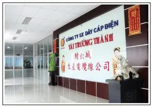 Sản phẩm TAI TRUONG THANH CABBLE 8 300x211 — Công Ty Cổ Phần Thương Mại Và Dịch Vụ Clean 24h — MST 0313595362