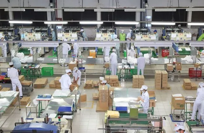 Sản phẩm 21928799 4151 — Công Ty TNHH Bao Bì Rồng Việt — MST 0313599511