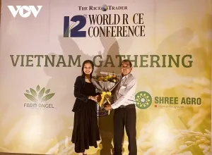 Sản phẩm gao st25 dat giai nhi cuoc thi gao ngon nhat the gioi 2020gao 1747 — Lương Thực Hiệp Thành - Công Ty TNHH Lương Thực Hiệp Thành — MST 0313600728