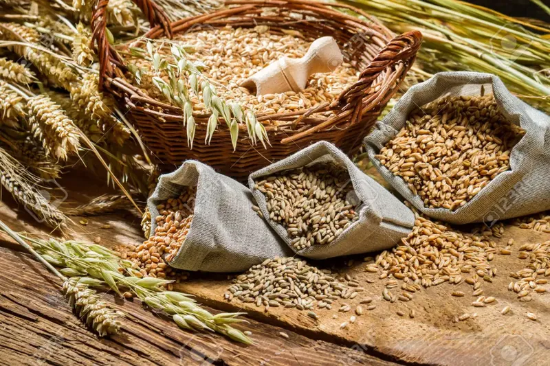 Sản phẩm animal feed — Công Ty TNHH Xuất Khẩu 3H — MST 0313618556