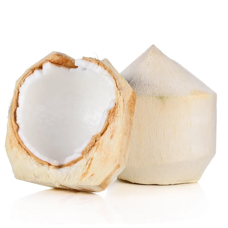 Sản phẩm diamond coconut 1 — Công Ty TNHH Xuất Khẩu 3H — MST 0313618556