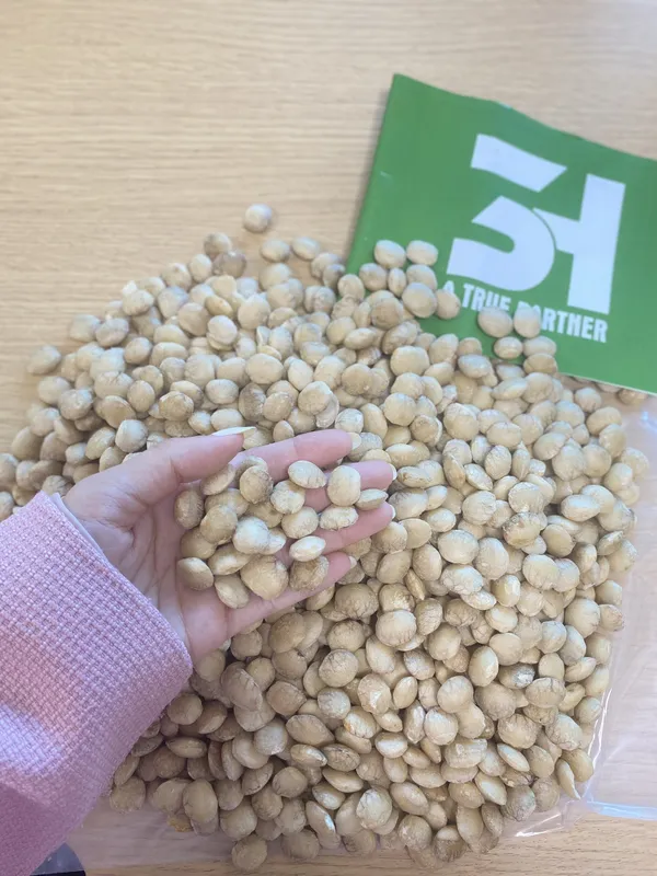 Sản phẩm sacha inchi seed 2 — Công Ty TNHH Xuất Khẩu 3H — MST 0313618556