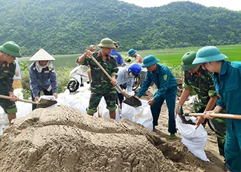 Sản phẩm dap de 7699 — Công Ty TNHH Đầu Tư Bao Bì Thuận Phát — MST 0313621421