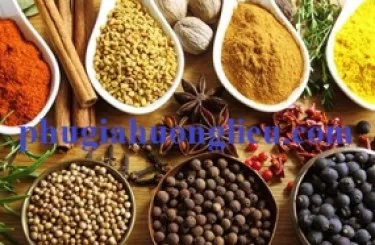 Sản phẩm huong gia vi8877_285x235 2633 — Phụ Gia Thực Phẩm Đại Lâm Phát - Công Ty TNHH Quốc Tế Đại Lâm Phát — MST 0313626268