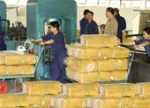 Sản phẩm 03a8701_500x500 — Cao Su Nhựa Hồng Phúc - Công Ty TNHH Cao Su Nhựa Hồng Phúc — MST 0313629540