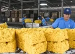Sản phẩm nganh cao su can chu dong co cau lai san xuat1345_500x500 — Cao Su Nhựa Hồng Phúc - Công Ty TNHH Cao Su Nhựa Hồng Phúc — MST 0313629540