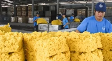 Sản phẩm nganh cao su can chu dong co cau lai san xuat1345_500x500 — Cao Su Nhựa Hồng Phúc - Công Ty TNHH Cao Su Nhựa Hồng Phúc — MST 0313629540