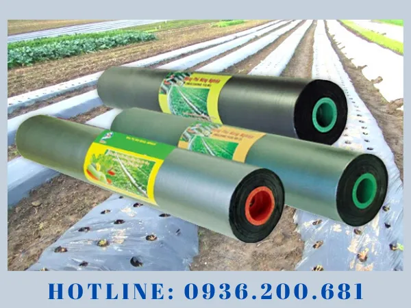 Sản phẩm 4_1 — Công Ty TNHH Sản Xuất Thương Mại Xuất Nhập Khẩu Đức Thành — MST 0313638489