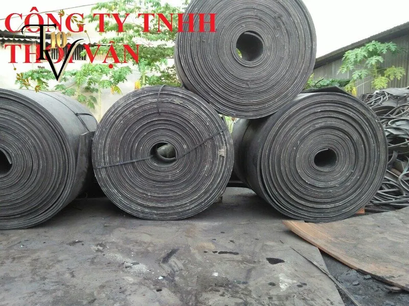 Sản phẩm 260377309530 — Công Ty TNHH Thời Vận — MST 0313656142