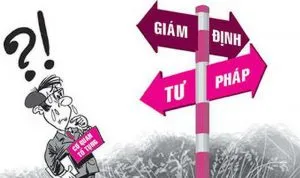 Sản phẩm giam dinh tu phap 300x178 — Công Ty TNHH Kiểm Định Và Giám Định Xây Dựng Miền Nam — MST 0313657435