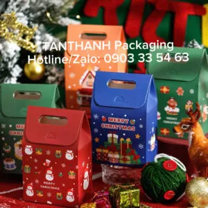 Sản phẩm Tui giay Noel 1 300x300 — Công Ty TNHH In ấn Bao Bì Giấy Tấn Thành — MST 0313659175