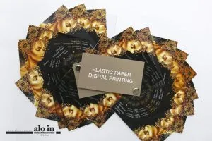 Sản phẩm in nhanh giay nhua 2 e1512379204503 300x200 — In ấn Aloin - Công Ty TNHH Aloin — MST 0313661350