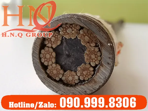 Sản phẩm Untitled 1 1 — Công Ty TNHH Thương Mại Dịch Vụ H.N.Q — MST 0313665926