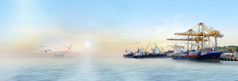 Sản phẩm 02_haicang 1024x352 — Vận Tải AP - Công Ty TNHH AP Logistics — MST 0313667377