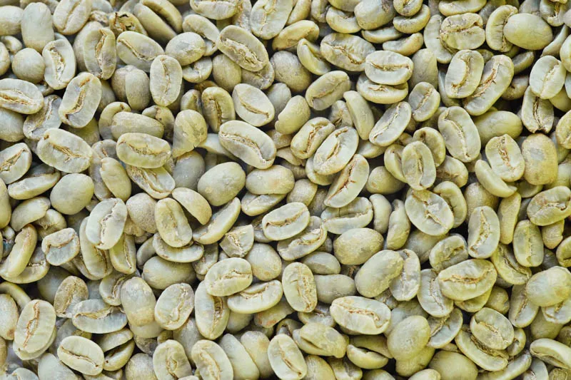 Sản phẩm ca phe typica blend 1 — La Coffee Roasters - Công Ty TNHH Cà Phê Sơn Dương — MST 0313673324