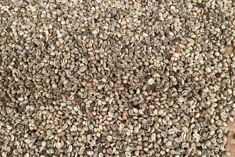 Sản phẩm Arabica Thuong Kho S16 1 — La Coffee Roasters - Công Ty TNHH Cà Phê Sơn Dương — MST 0313673324