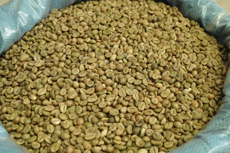 Sản phẩm Robusta 16 Honey chin 95 1 — La Coffee Roasters - Công Ty TNHH Cà Phê Sơn Dương — MST 0313673324