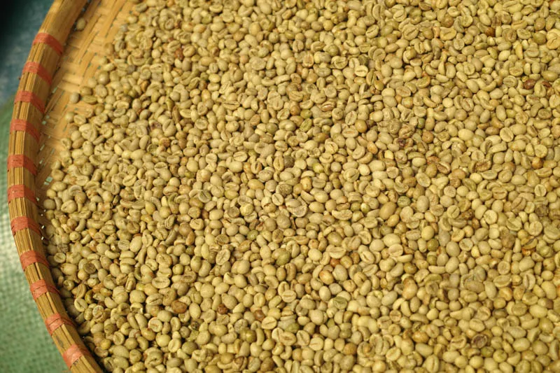 Sản phẩm Robusta 16 Uot 2 — La Coffee Roasters - Công Ty TNHH Cà Phê Sơn Dương — MST 0313673324