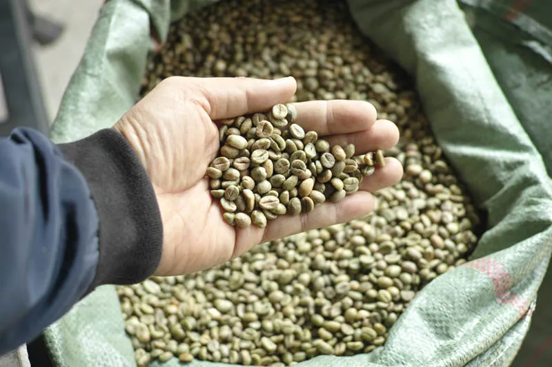 Sản phẩm Robusta 16 Xuat Khau 3 — La Coffee Roasters - Công Ty TNHH Cà Phê Sơn Dương — MST 0313673324