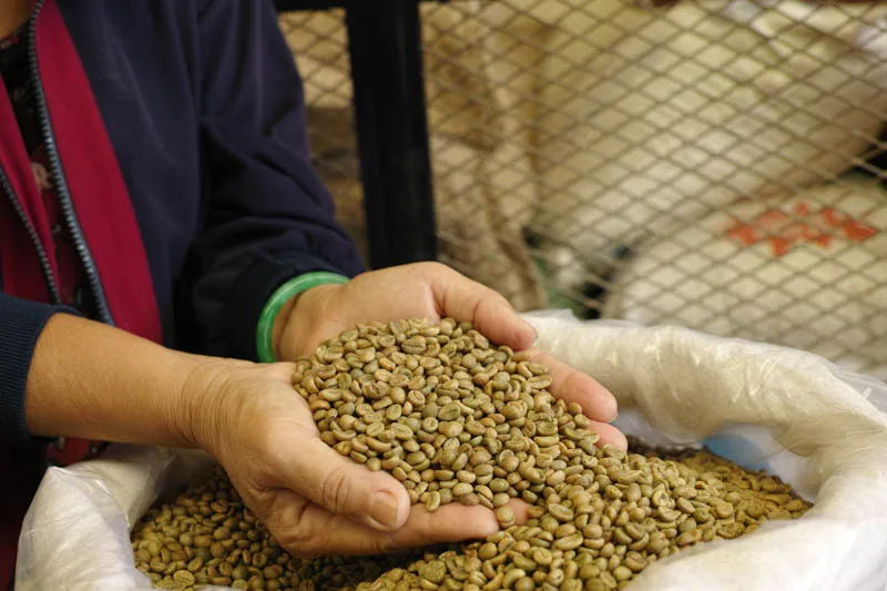 Sản phẩm Robusta 18 Honey chin 95 4 — La Coffee Roasters - Công Ty TNHH Cà Phê Sơn Dương — MST 0313673324