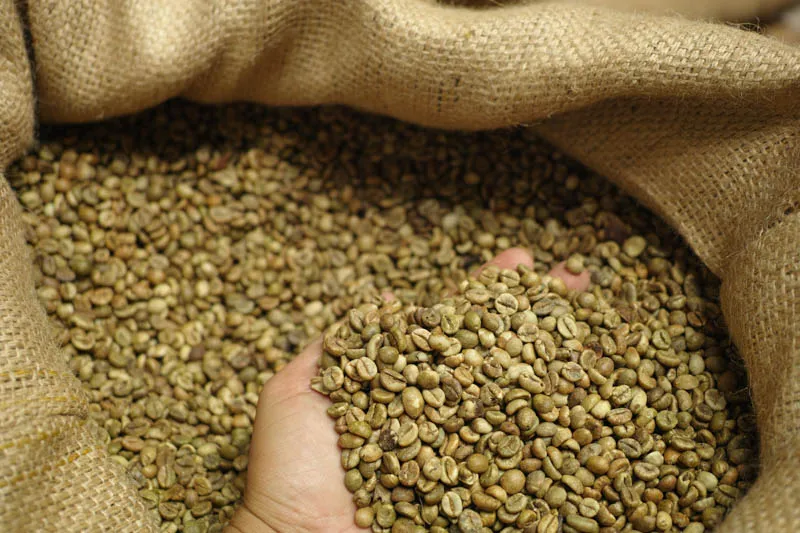 Sản phẩm Robusta 18 Thuong 4 — La Coffee Roasters - Công Ty TNHH Cà Phê Sơn Dương — MST 0313673324