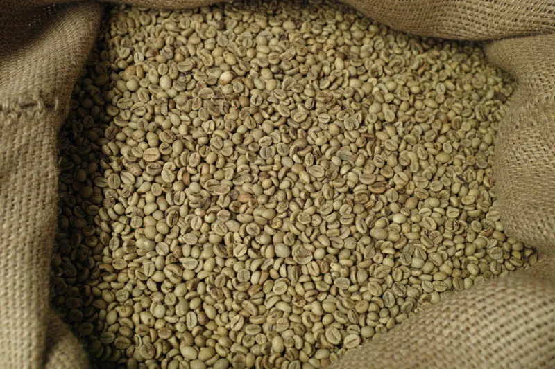 Sản phẩm Robusta 18 Uot 1 — La Coffee Roasters - Công Ty TNHH Cà Phê Sơn Dương — MST 0313673324