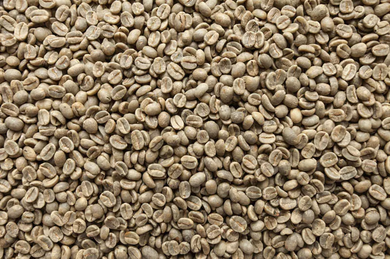 Sản phẩm arabica cau dat sang 18 1 — La Coffee Roasters - Công Ty TNHH Cà Phê Sơn Dương — MST 0313673324