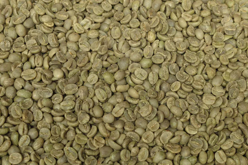 Sản phẩm arabica da lat sang 18 1 2 — La Coffee Roasters - Công Ty TNHH Cà Phê Sơn Dương — MST 0313673324