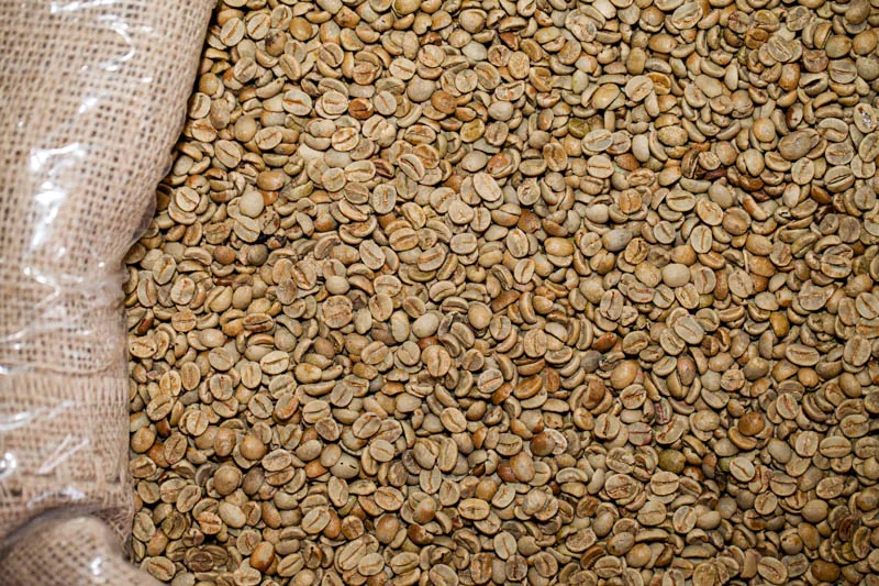 Sản phẩm arabica honey sang 16 2 — La Coffee Roasters - Công Ty TNHH Cà Phê Sơn Dương — MST 0313673324