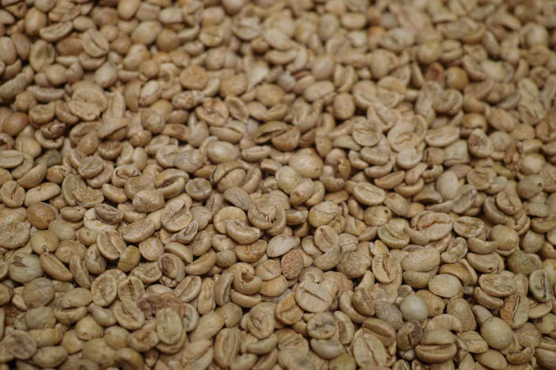 Sản phẩm arabica lao cu sang 17 4 — La Coffee Roasters - Công Ty TNHH Cà Phê Sơn Dương — MST 0313673324