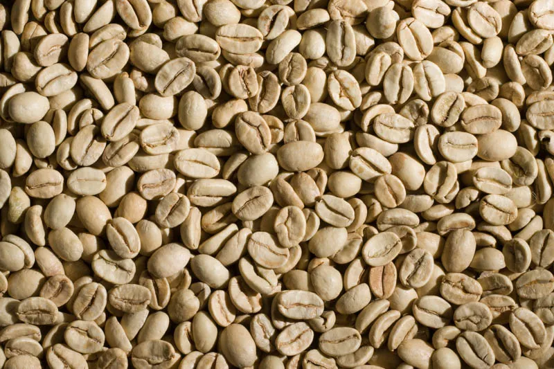 Sản phẩm arabica lao cu sang 18 1 — La Coffee Roasters - Công Ty TNHH Cà Phê Sơn Dương — MST 0313673324