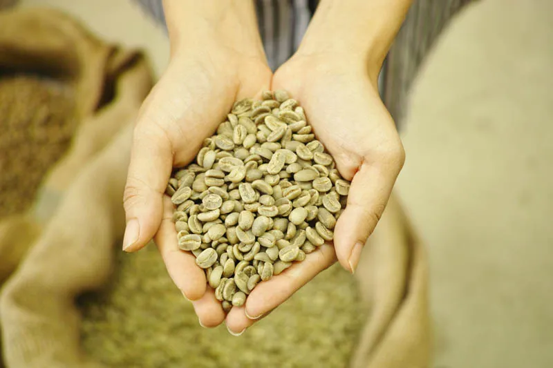 Sản phẩm ca phe typica sang 18 3 — La Coffee Roasters - Công Ty TNHH Cà Phê Sơn Dương — MST 0313673324
