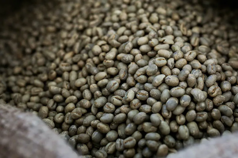 Sản phẩm culi arabica 2 — La Coffee Roasters - Công Ty TNHH Cà Phê Sơn Dương — MST 0313673324