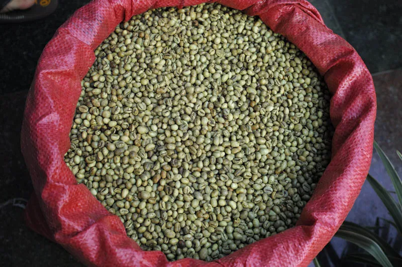 Sản phẩm culi danh bong 1 — La Coffee Roasters - Công Ty TNHH Cà Phê Sơn Dương — MST 0313673324