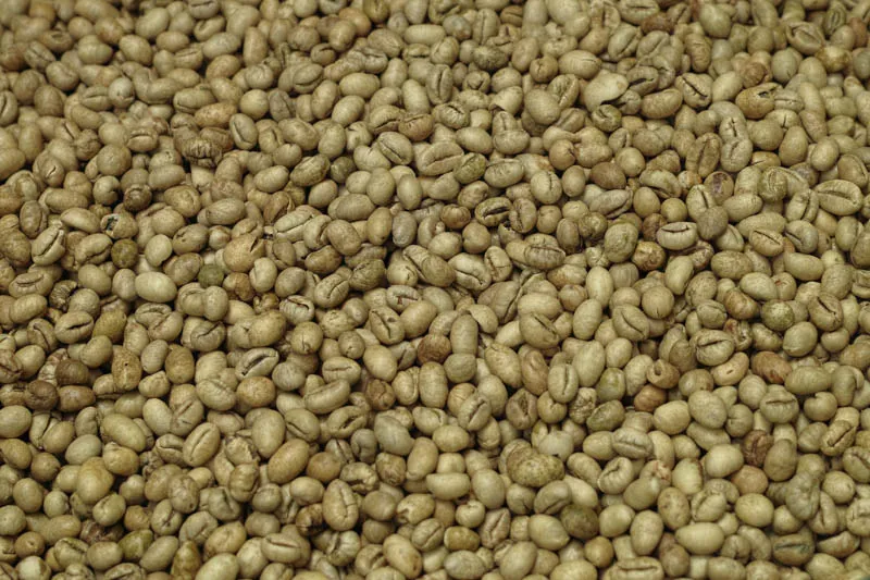 Sản phẩm culi xuat khau 4 — La Coffee Roasters - Công Ty TNHH Cà Phê Sơn Dương — MST 0313673324
