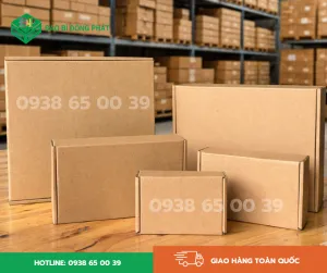 Sản phẩm Hop carton ship cod san 5 300x251 — Bao Bì Giấy Đồng Phát - Công Ty TNHH Bao Bì Giấy Đồng Phát — MST 0313681149