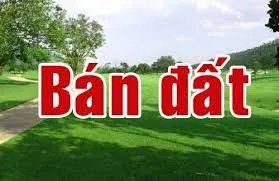 Sản phẩm tai xuong — Công Ty Cổ Phần Đầu Tư Dịch Vụ Bất Động Sản Sài Gòn — MST 0313684816