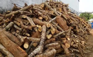 Sản phẩm cui cao su 01 300x184 — Củi Đốt Lò Hơi Huỳnh Quế Anh - Công Ty TNHH Huỳnh Quế Anh — MST 0313684936