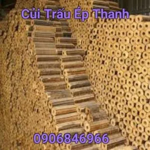 Sản phẩm Cui trau ep thanh 300x300 — Củi Đốt Lò Hơi Huỳnh Quế Anh - Công Ty TNHH Huỳnh Quế Anh — MST 0313684936