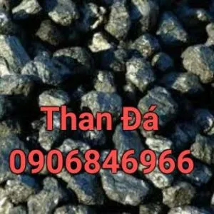 Sản phẩm Than da 300x300 — Củi Đốt Lò Hơi Huỳnh Quế Anh - Công Ty TNHH Huỳnh Quế Anh — MST 0313684936