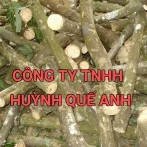 Sản phẩm cao su 300x300 — Củi Đốt Lò Hơi Huỳnh Quế Anh - Công Ty TNHH Huỳnh Quế Anh — MST 0313684936