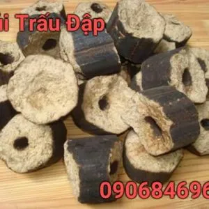 Sản phẩm cui trau dap 300x300 — Củi Đốt Lò Hơi Huỳnh Quế Anh - Công Ty TNHH Huỳnh Quế Anh — MST 0313684936