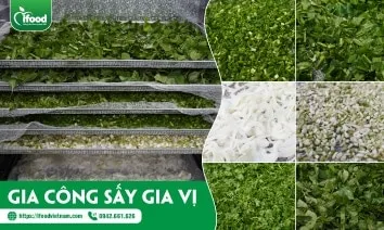 Sản phẩm du an gia cong say gia vi 1 — Công Ty TNHH Phát Triển Thực Phẩm IFood Việt Nam — MST 0313688313