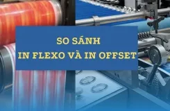 Sản phẩm so sanh in flexo va in offset 1253 — Công Ty TNHH Bao Bì Minh Ngọc — MST 0313694927